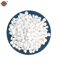 吉雅乎 游泳池消毒片 2克速溶氯片 /kg