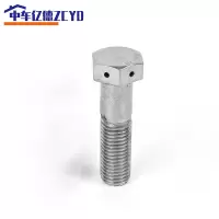 中车亿德 六角头头部双孔螺钉 M24*90 只