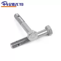 六角头杆部带孔螺钉 M20*80 (100只)