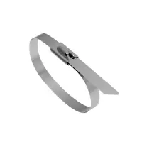 旋达自锁式不锈钢扎带 10*500mm/条