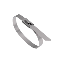 旋达自锁式不锈钢扎带 300*10mm/条