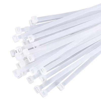 旋达尼龙扎带 4*250mm(100根) 包