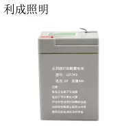利成照明 太阳能灯铅酸蓄电池 LC1249
