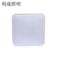 利成照明 LED吸顶灯 400×600 62W