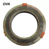 OVN 金属缠绕石墨垫片 DN50 个