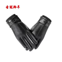 圣冠羚羊 防寒皮手套(触屏精品)男款 均码