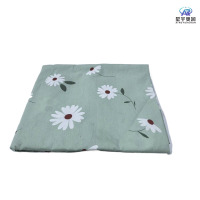 星宇奥润 床单 1800*2800mm 条