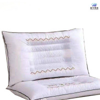 星宇奥润 枕芯 480*780mm 只