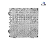 星宇奥润 防滑地垫 20*40cm 块