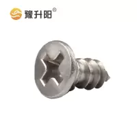 豫升阳 304不锈钢沉头自攻螺丝 M6X10 个