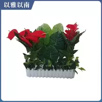 以雅以南 仿真花 50*10*53cm 个