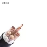 瑞鑫发达 铜芯铠装电力电缆 YJV22 4*16+1*10 米