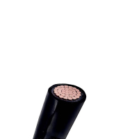 铜芯铠装电力电缆 YJV 1*35 米