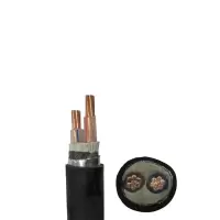 瑞鑫发达 铜芯电缆YJV22 2*50米