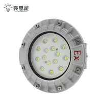 亮思能 LED吸顶式防爆灯 仓库灯 LSN-FXR 100W 个