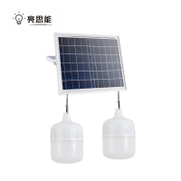 亮思能 太阳能灯泡照明灯一拖二300W LSN-TYP 个