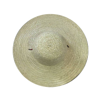 憬嘉泓 草帽JJH0170-150g/顶