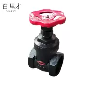 百里才 铸铁闸阀DN32个