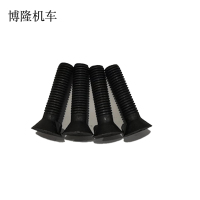 博隆机车 沉头带榫螺栓 14*100 个