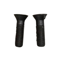 博隆机车 沉头带榫螺栓 M16*70 个