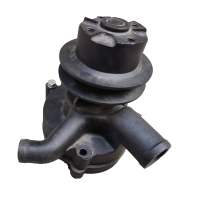 博隆机车 冷却水泵 BL-8941562365 个