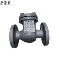 欣源泉 止回阀 DN100 /个