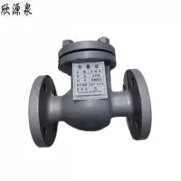 欣源泉 止回阀 DN300 /个
