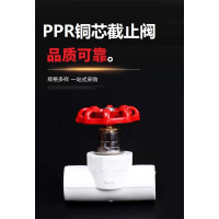 盛京联硕PPR截止阀 国标PPR升降截止阀铜芯截止阀 PPR20mm(4分) 铜芯 个