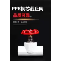 盛京联硕PPR截止阀 国标PPR升降截止阀铜芯截止阀 PPR25mm (6分)铜芯 个