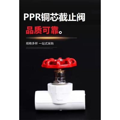 盛京联硕PPR截止阀 国标PPR升降截止阀铜芯截止阀 PPR25mm (6分)铜芯 个