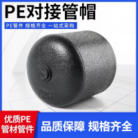 盛京联硕 PE对接堵头 PE200(承压1.6Mpa)个