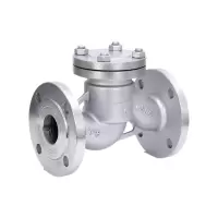 盛京联硕不锈钢升降式止回阀DN20 [6分]304材质台