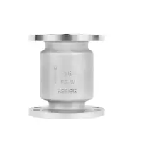 盛京联硕不锈钢立式止回阀DN40 [1.5寸]304材质台