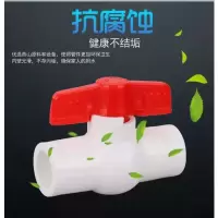 盛京联硕 PPR全塑球阀25(6分)全塑插口 个