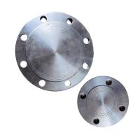 盛京联硕 碳钢法兰盲板 DN300[12寸]12孔 片