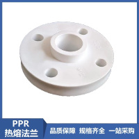 盛京联硕 PPR热熔法兰PPR20(4分)一体 个