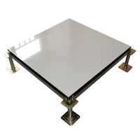 盛京联硕 地板静电地板 陶瓷面静电地板 600*600*40mm 块