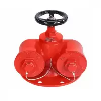 盛京联硕 多功能水泵接合器 DN100 台