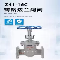 盛京联硕 铸钢法兰闸阀 Z41-16C DN32 台