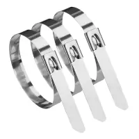 盛京联硕 304不锈钢扎带4.6×300mm根