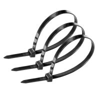 盛京联硕 国标尼龙扎带 自锁式捆绑带黑色10×600mm[80条]包