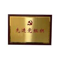 晨洋(CYSM)可定制奖牌摆件 CYBG011 块