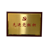 晨洋(CYSM)可定制奖牌桌面摆件 CYBG012 块