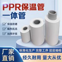 中锦科技 保温管聚氨酯发泡复合管PRCR一体保温管 Φ40*63 米