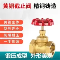 中锦科技 铜截止阀 耐高温截止阀 DN50[2寸] 个