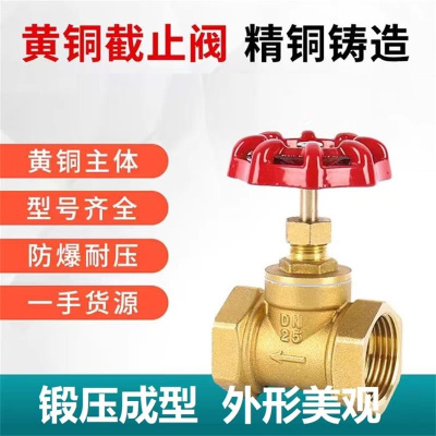 中锦科技 铜截止阀 耐高温截止阀 DN50[2寸] 个