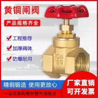 中锦科技 铜闸阀 DN65[2.5寸]