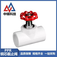 中锦科技 PPR铜芯截止阀PPR32mm(1寸) 铜芯 个