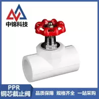 中锦科技 PPR铜芯截止阀PPR40mm (1.2寸)铜芯个