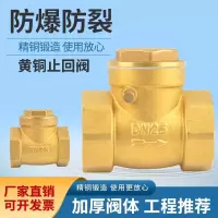 中锦科技 铜卧式止回阀逆止阀单向阀 DN25[1寸] 个